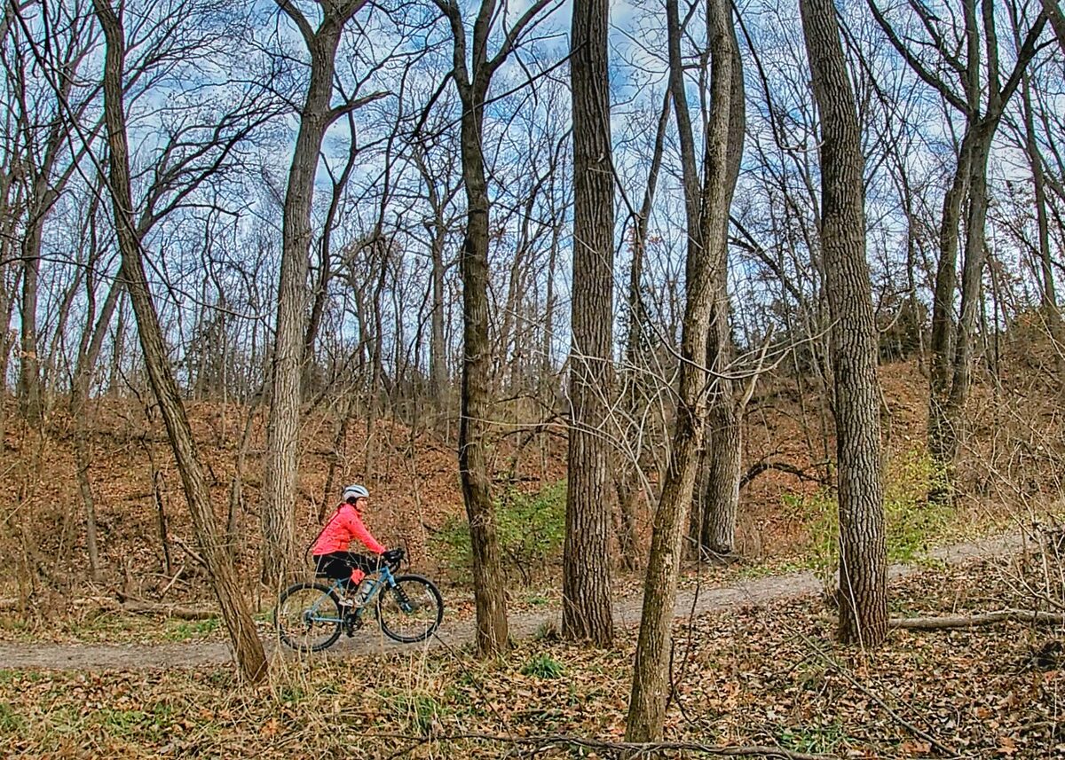 A cyclist riding the trail through bare winter woods