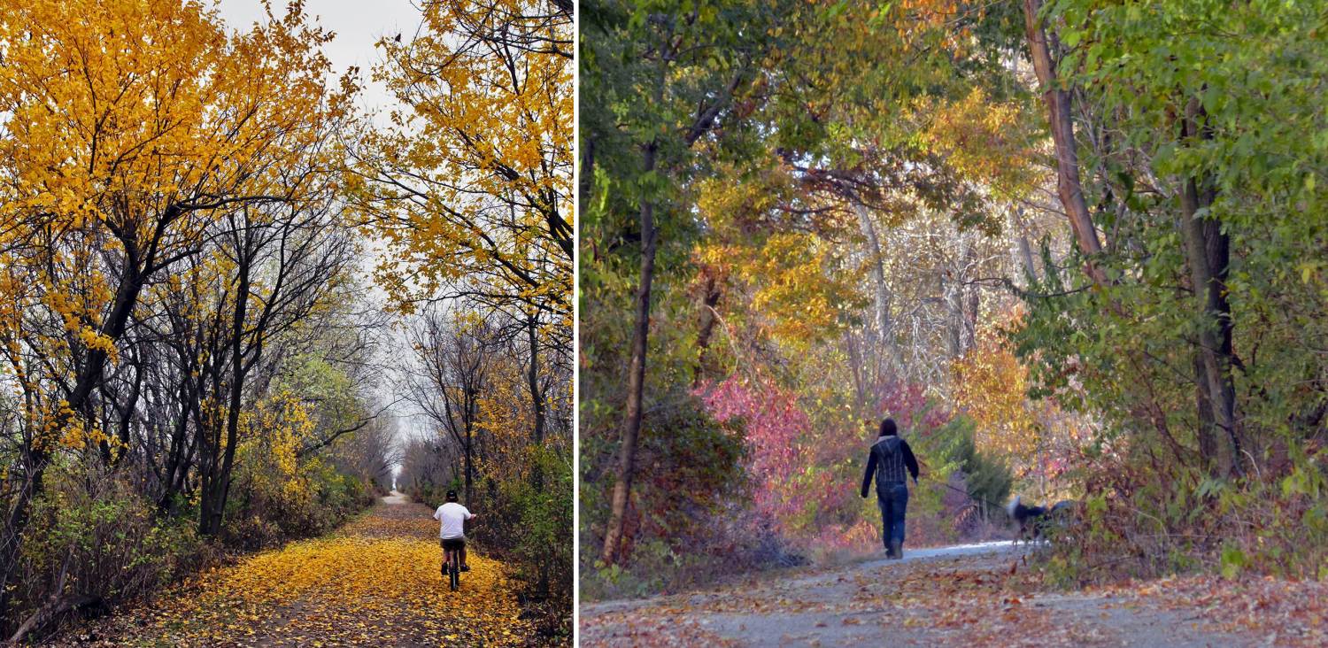 Walkers and cyclists on the trail amid fall color
