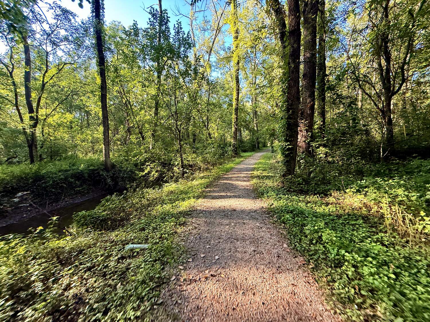 A shaded stretch of trail following a creek through the woods